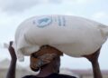 World Food Programme Cuts Gaza Food Aid 10 World Food Programme (WFP)