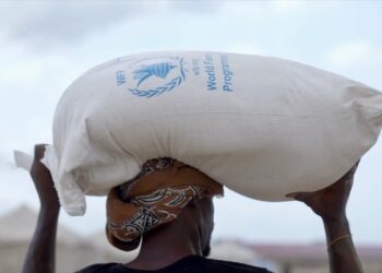 World Food Programme Cuts Gaza Food Aid 3 World Food Programme (WFP)