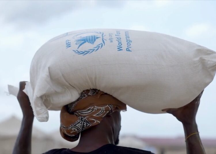 World Food Programme Cuts Gaza Food Aid 1 World Food Programme (WFP)