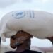 World Food Programme Cuts Gaza Food Aid 12 World Food Programme (WFP)