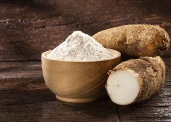 Potential Export Destinations of Ghana’s Cassava Starch Outlined by GEPA 4 Cassava starch 1