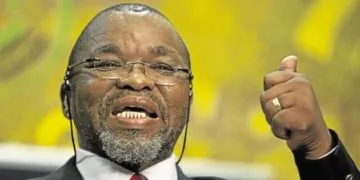 South African Mineral Resources and Energy Minister Gwede Mantashe tested positive for Covid-19