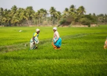 Ghana’s Land Tenure System; A Challenge In The Agric Sector 4 land tenure