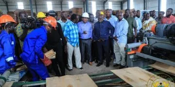 miro forestry ghana 1