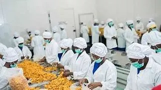 Staff of a manufacturing firm engaged in the production process