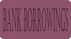 Bank’s Borrowings Decline