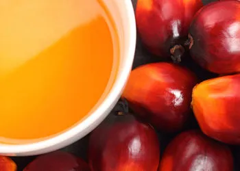Unilever Ghana urges gov’t to invest in palm oil production 9 Oil Palm Fruit and its finished product