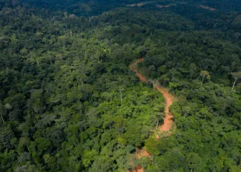 Ghana-China Sinohydro deal poses environmental and social risks to Ghana’s forests- Report 7 Ghana-China Sinohydro deal poses environmental and social risks to Ghana’s forests- Report