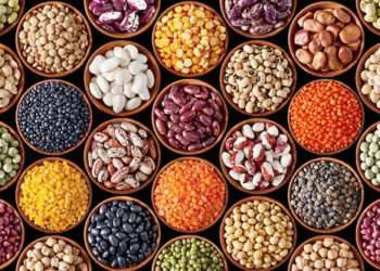 Global Commodities Food Prices Upsurge in August, FAO Reports