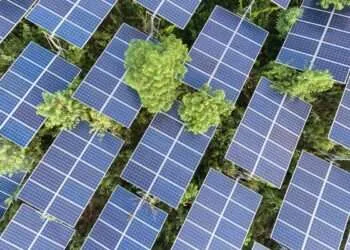 Europe Requires 600GW of Energy Storage by 2050- EASE 6 energy