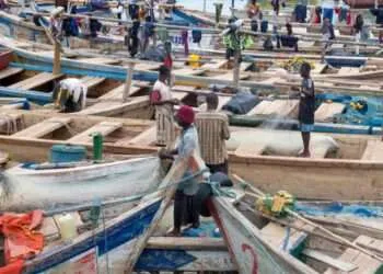 Fisheries Governance to Improve as Stakeholders Receive Training on IUU 1 fisheries governance
