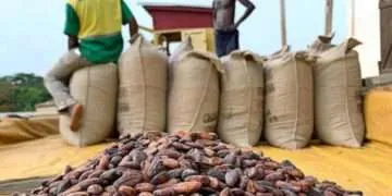 COCOBOD Strengthens Anti-Smuggling Measures to Protect Ghana’s Cocoa Industry