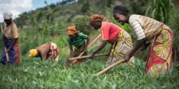 Peasant Farmers Urge Mahama to Prioritize Agriculture with Dynamic Leadership