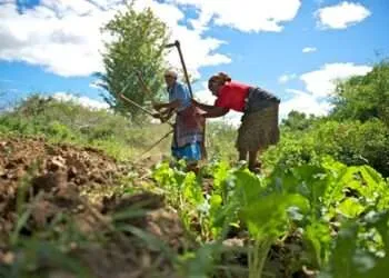Farmers