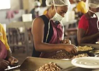 SMEs Spearhead Economic Growth, Minister Boosts Support 9 File photo