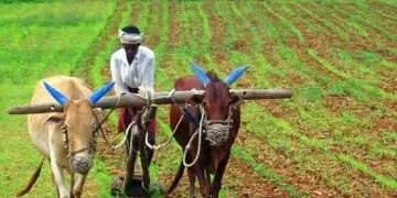 Minister Calls MSMEs to Invest in Agriculture for Economic Growth