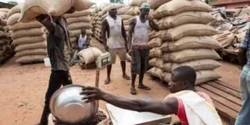 COCOBOD Launches Balanced Scorecard to Drive Performance and Revitalise Cocoa Sector