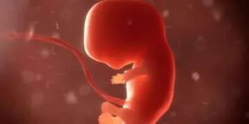 Lab-Grown Sperm And Eggs Could Soon Enable Parents To Design Their Future Children