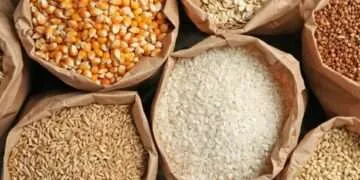 Ghana Faces Imminent Cereal Shortage as Burkina Faso Halts Exports