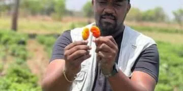 President Mahama Appoints John Setor Dumelo as Deputy Minister of Agriculture