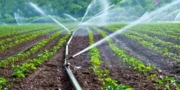 Water-Mechanization-System-Watering-Crops