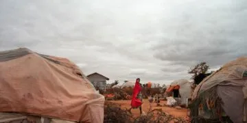 Global Drought Crisis Unfolds With Devastating Impact