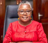 Hon. Emelia Arthur, Ministry, Premix