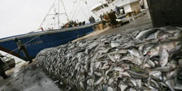 Nuclear Science ‘Casts Net’ On Seafood Fraud