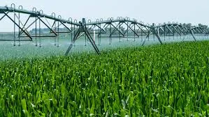 Ghana Pumps GHS 2.9bn into Agriculture to End Food Insecurity and Cut Imports
