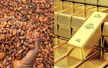 Gold and Cocoa