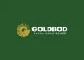 GoldBod Formalizes ASM to Boost Gold Production 2 Ghana Gold Board